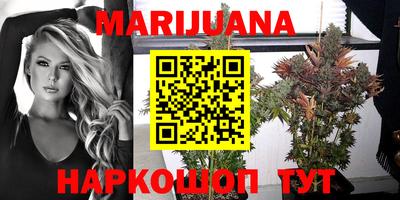 индика Коммунар
