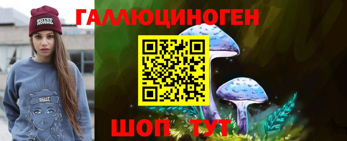 Псилоцибиновые грибы Magic Shrooms  купить наркотики цена  Кемерово  Вход с VPN 